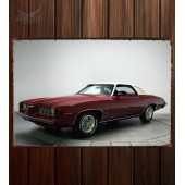 Металлическая табличка Pontiac Grand Am Сolonnade Hardtop Coupe (H37)